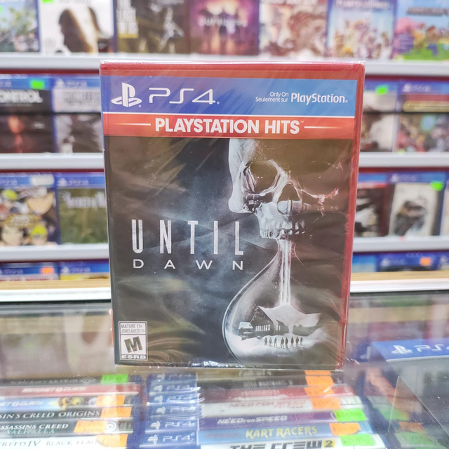 Until Dawn