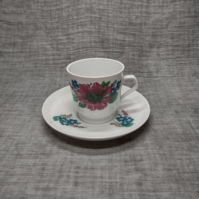 CP Colditz | Kop en schotel voorheen Duitse Democratische Republiek (DDR) in witte kleur met rose en blauw bloemmotief | Vintage