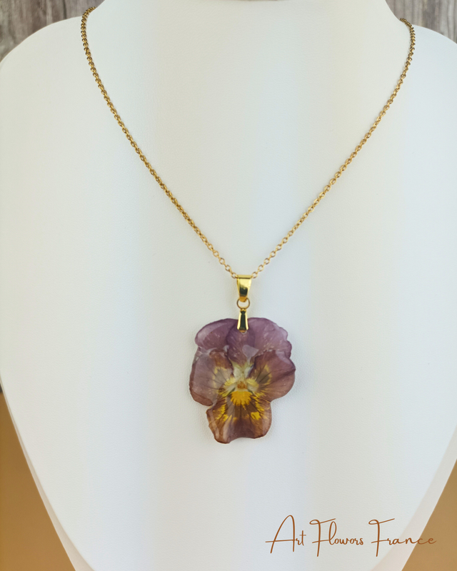 Ensemble de Pansées naturelles