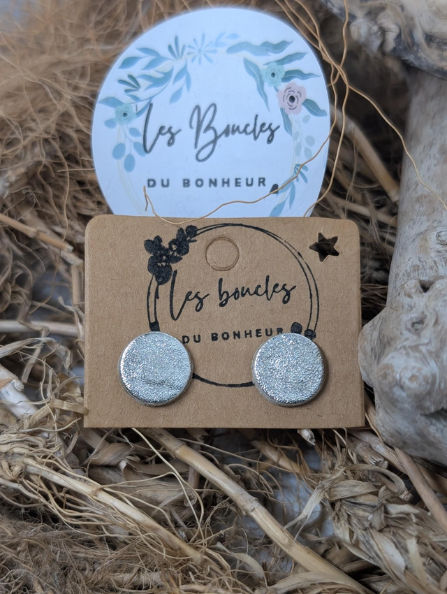 Boucles d&#039;oreilles puces argenté pu047