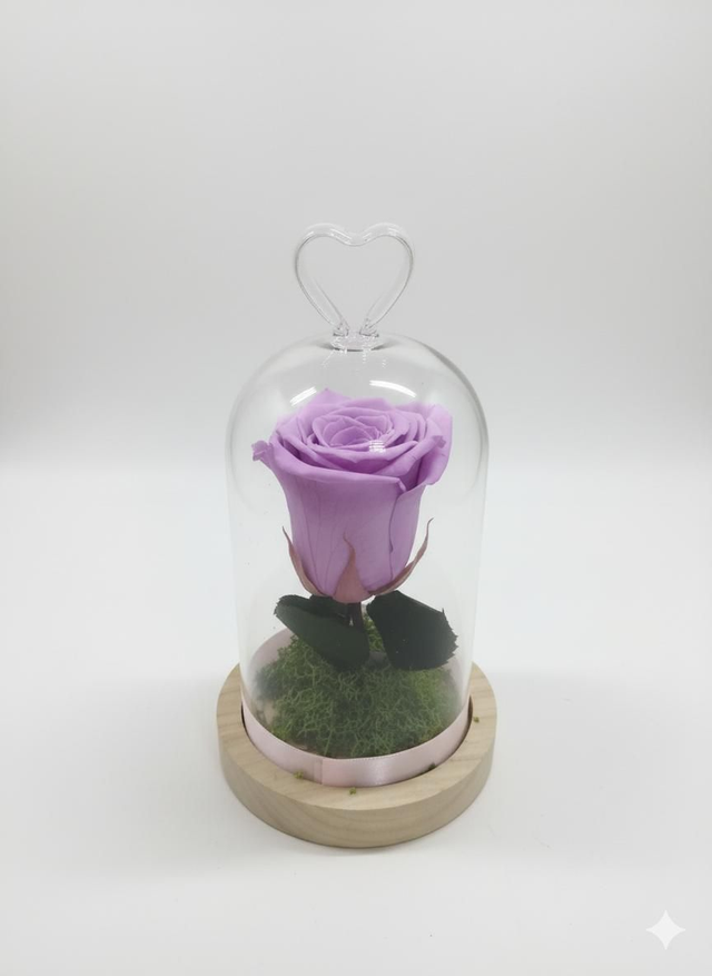 Rosa Lilla stabilizzata