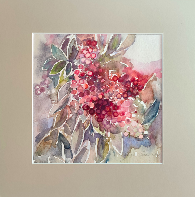 Kalina, 30x30 (20x20 w świetle passe-partout) akwarela 