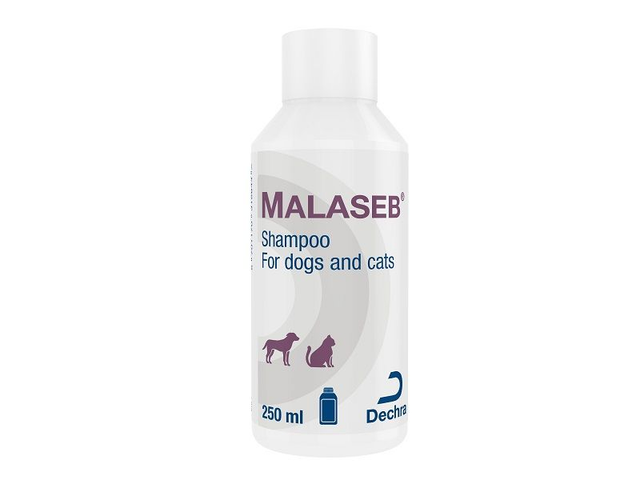 Malaseb Shampoo 250ml