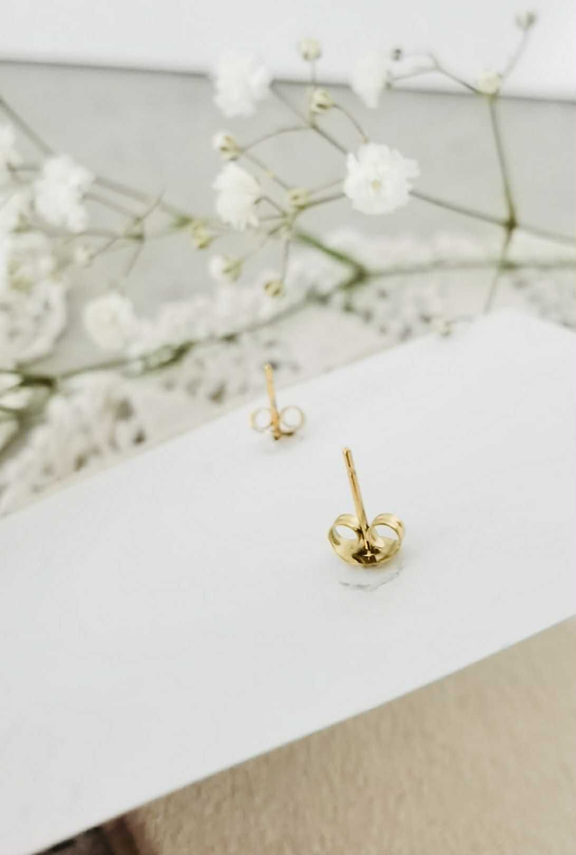 "Sardinhas" Brincos Mini / Mini Earrings