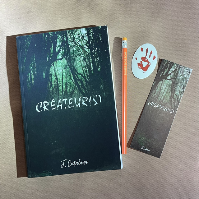 Start Box Créateur(s)