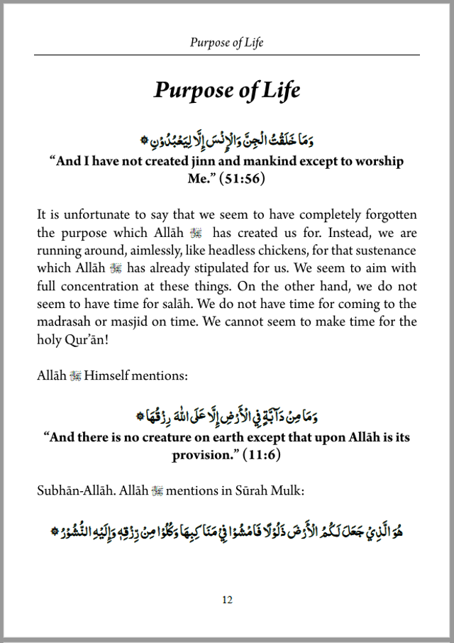 A Muslim’s Guide to Pandemic – Paperback