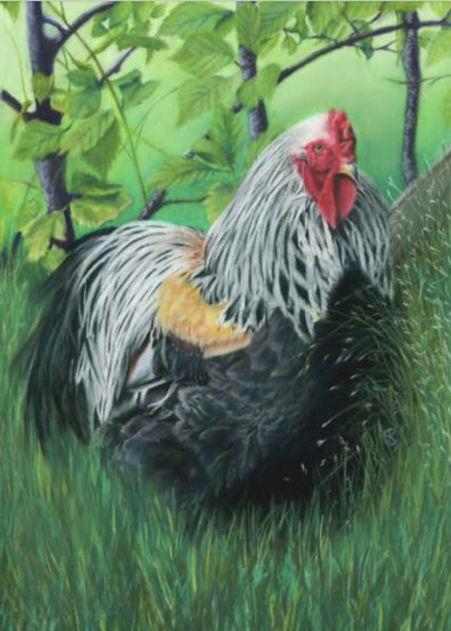 Greeting Card 'DE HAAN' (Konijnenparadijs)