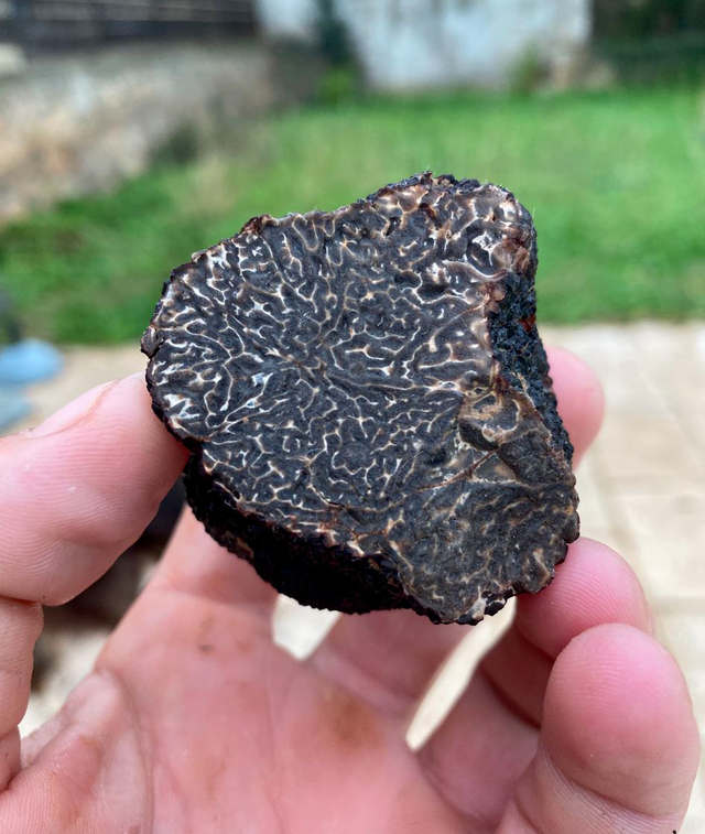 Truffe Noire. 50g