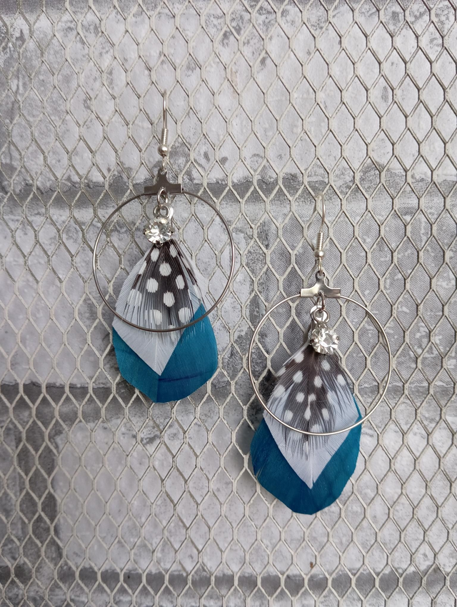 Collection Pintade and Co 