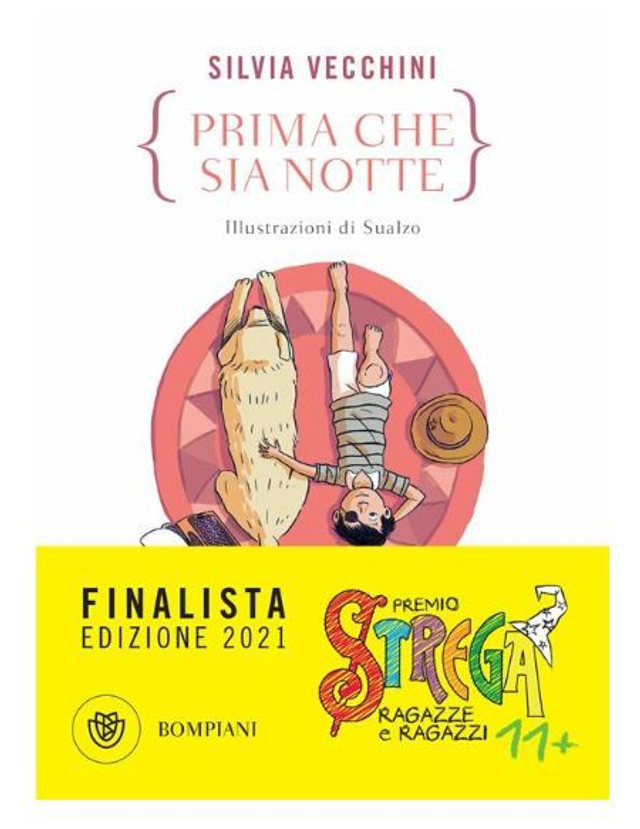 Prima che sia notte - di Silvia Vecchini