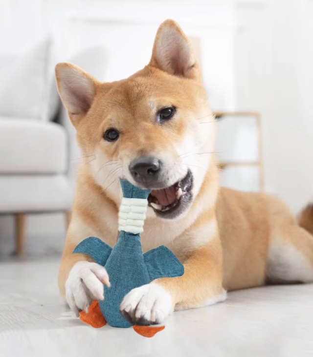 Jouet en peluche pour chien d'oies 