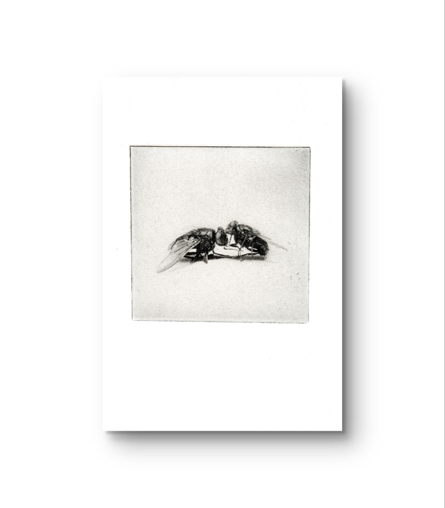 Flies "Just the two of us"  handprint photogravure A6  