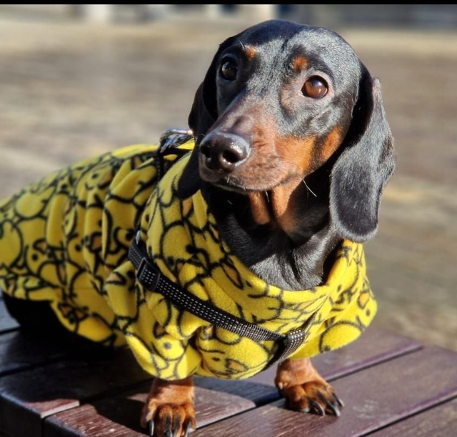 Handmade patterned fleece jumper
