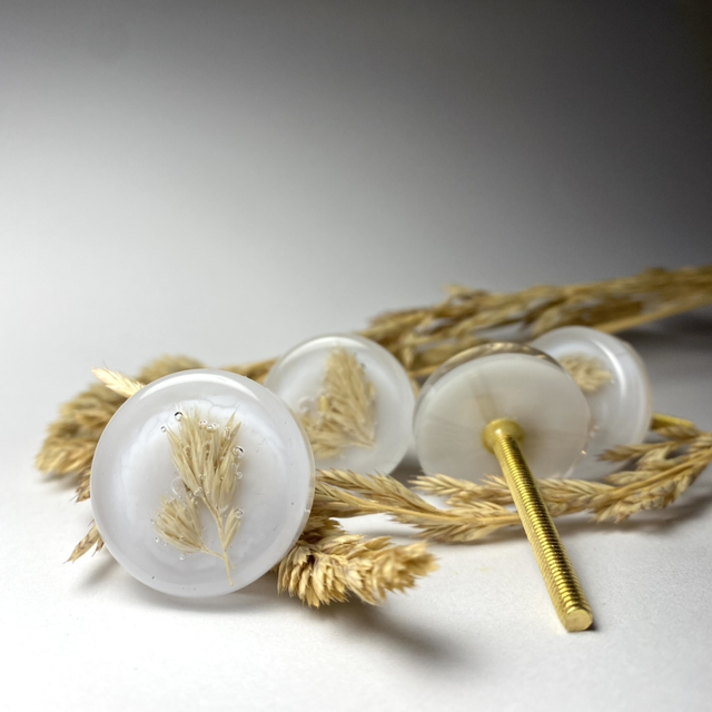 Boutons de meuble blé