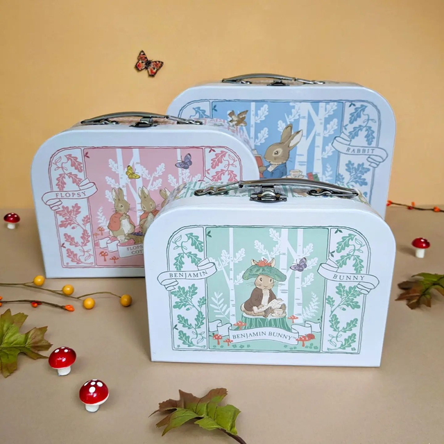 Beatrix Potter Children’s Triple Carry Case Set -3-Piece Storage