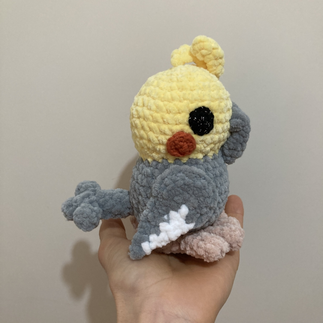 Perruche calopsitte grise 