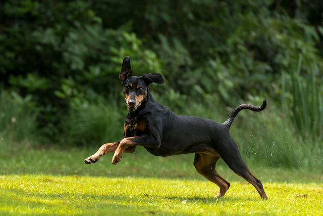 Portretshoot op locatie TOP