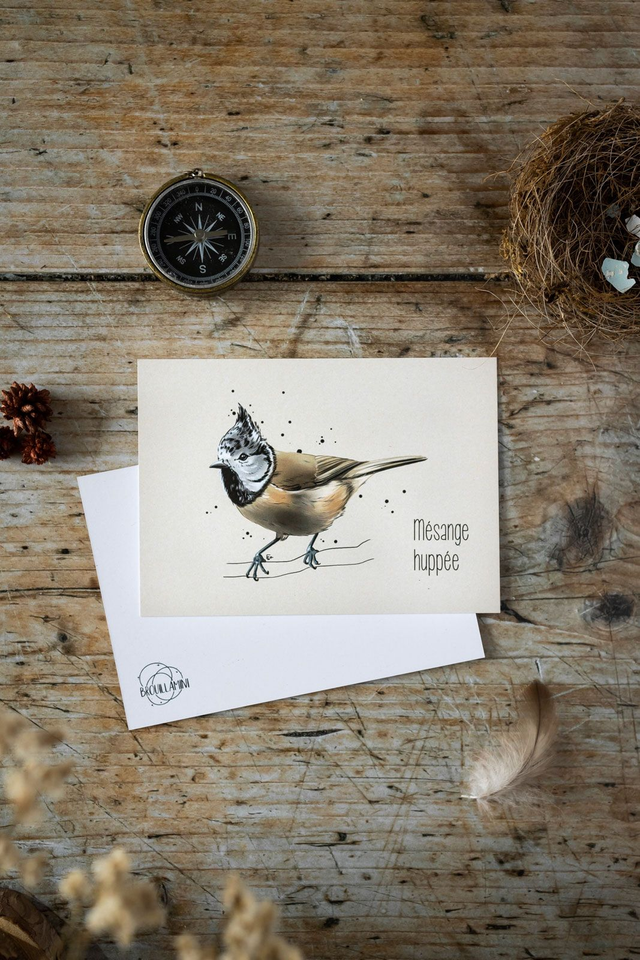 MÉSANGE HUPPÉE - Carte format A6 