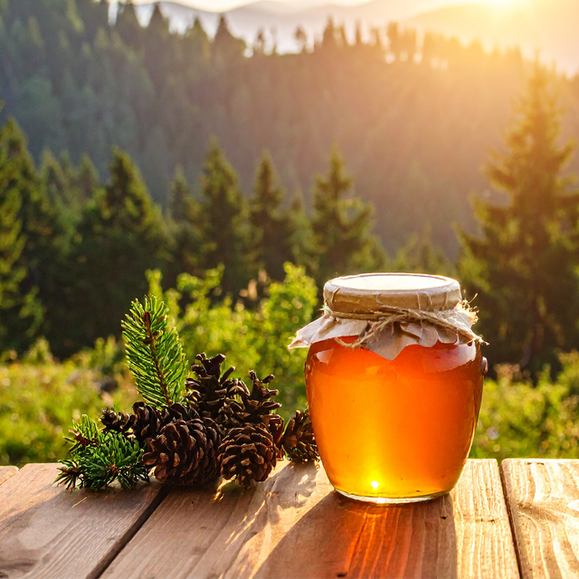 Miód leśny płynny (0.9l)