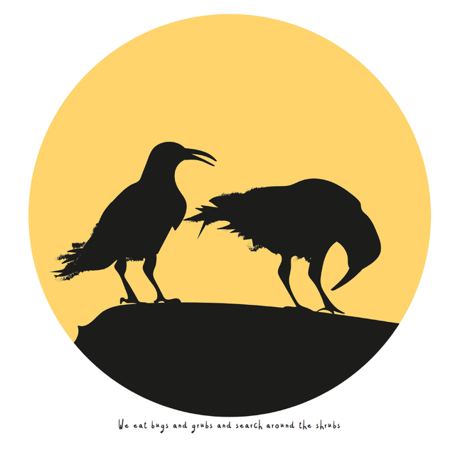 Greeting card - 'Chough Sillouette'