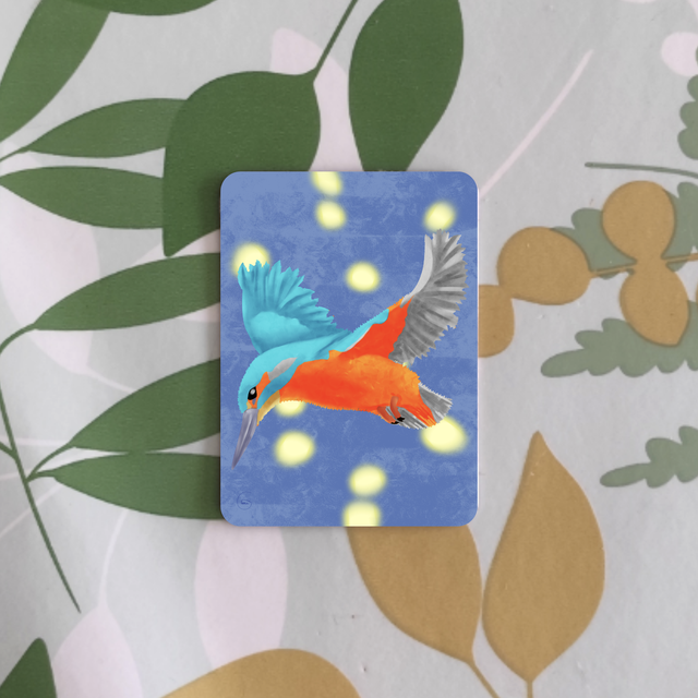 Oiseaux
