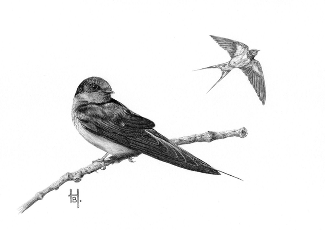 'Last Glance.'  Framed original graphite pencil drawing.