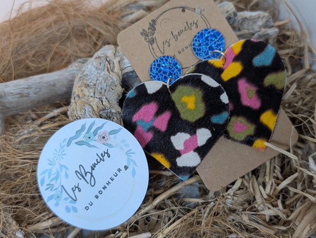 Boucles d&#039;oreilles Coeur ❤️ Graou multicolore c1010 