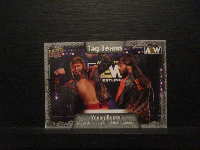 Young Bucks - All Elite AEW Original Upper Deck Trading Card #90