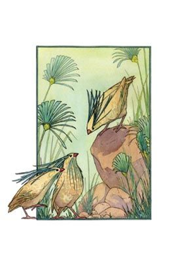 Printemps - carte de vœux sans texte