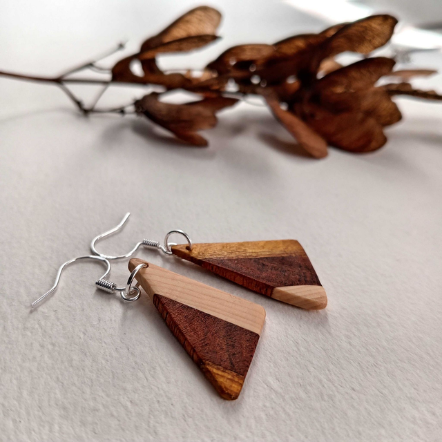 Boucles d&#039;oreilles