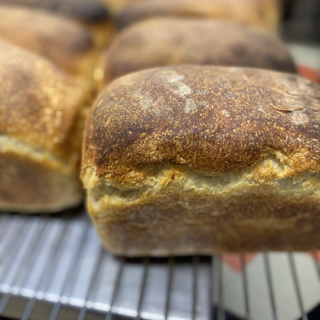White sourdough