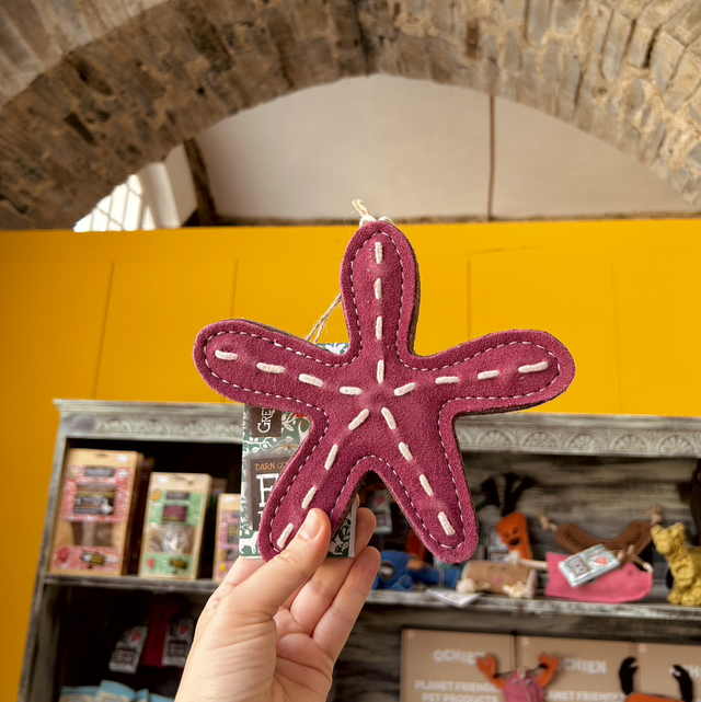 Green & Wild's Stanley the Starfish Eco Dog Toy