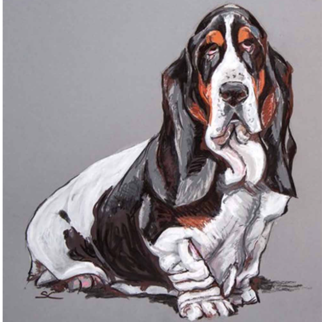 Dog Portrait in Pen and Pastel