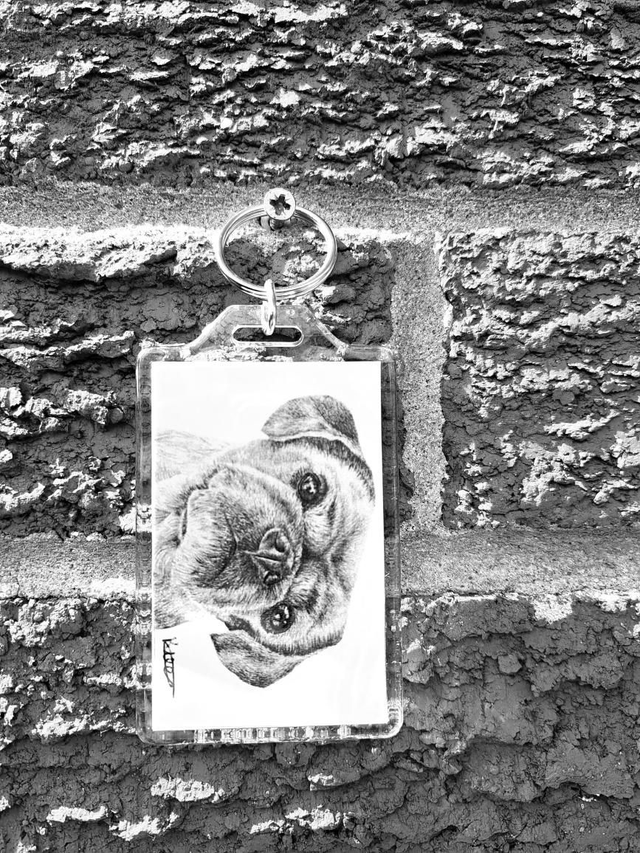 Pug Keyring 