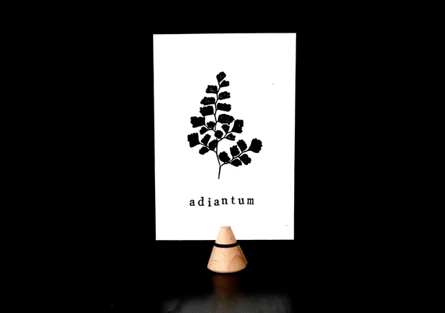 Linogravure A6 feuille d'Adiantum