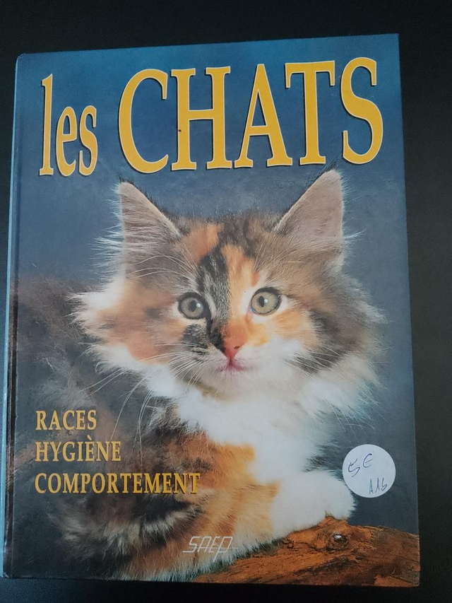 Les chats