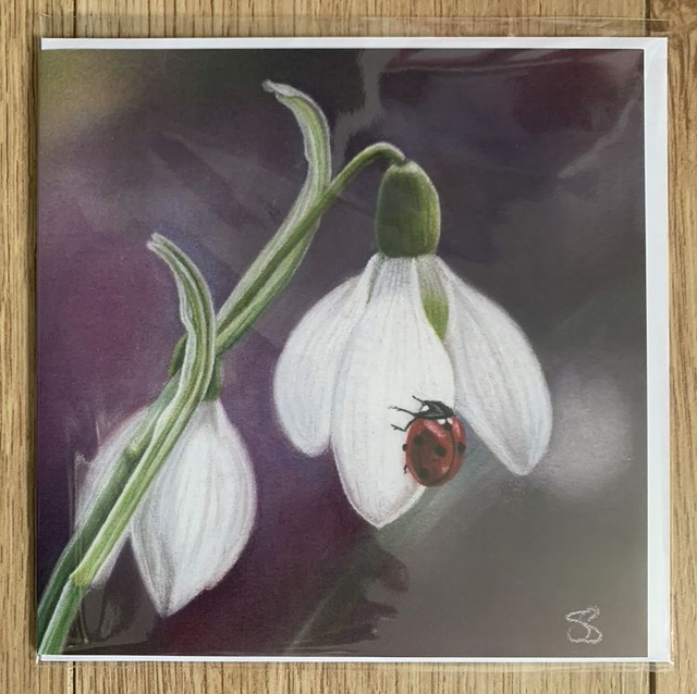 Greetings Card - Ladybird on Snowdrop - Blank Inside