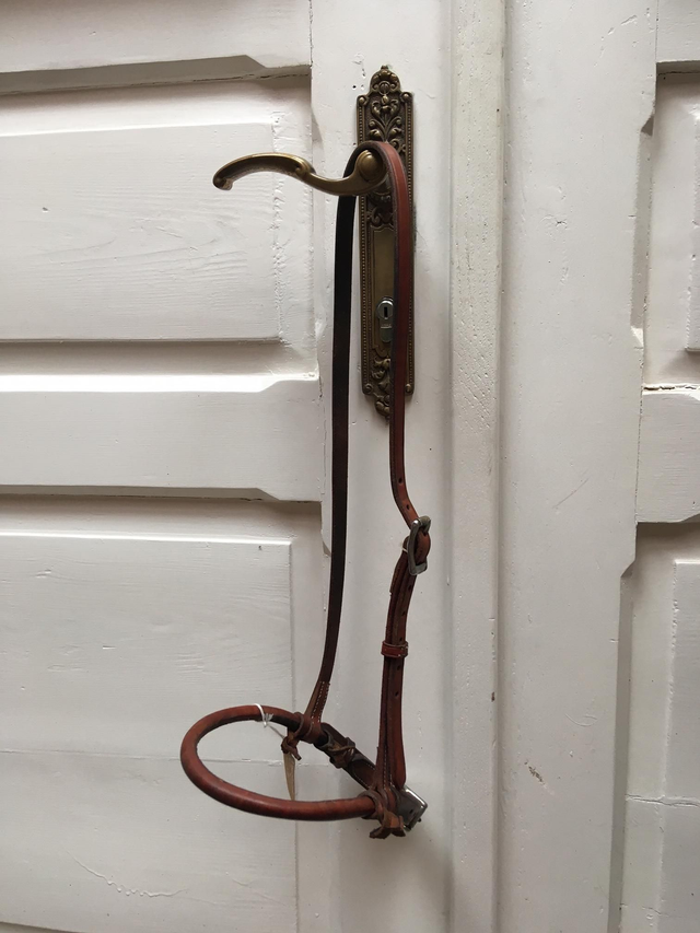 Noseband round II.Wahl