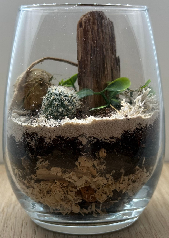 Bowo® NIGÉRIA connecté Home 