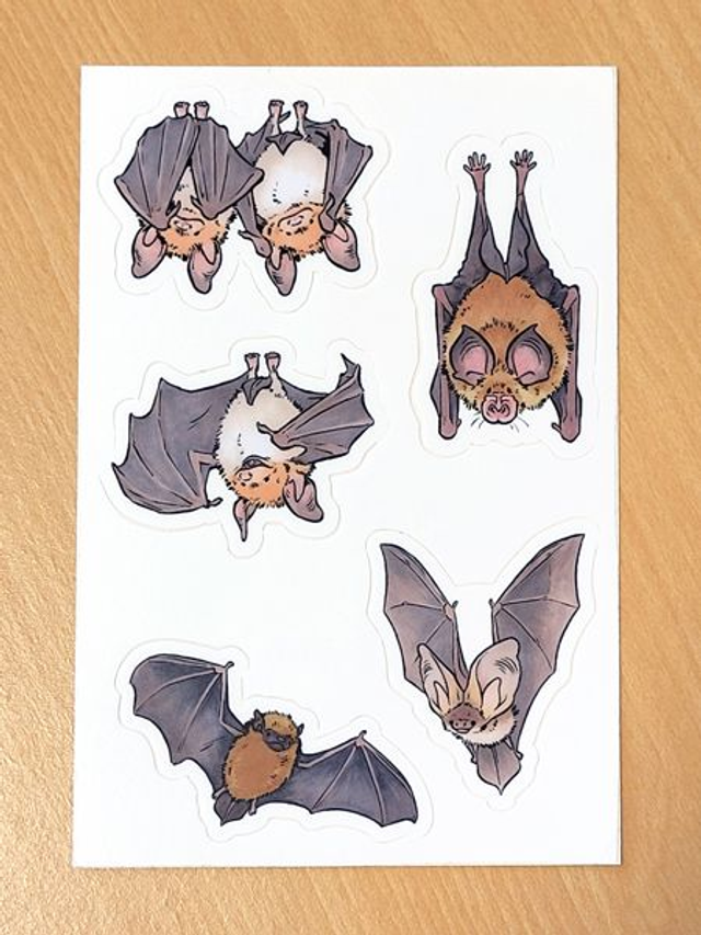 Vinyl stickersheet European bats