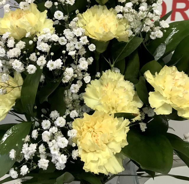 BOUQUET CLAVELL GROC