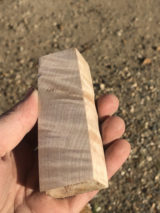 Érable sycomore ondé