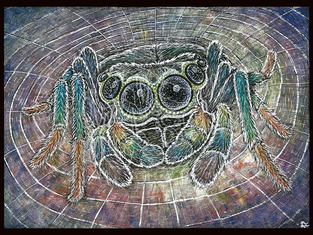 &quot;Araignée cosmic&quot; Print