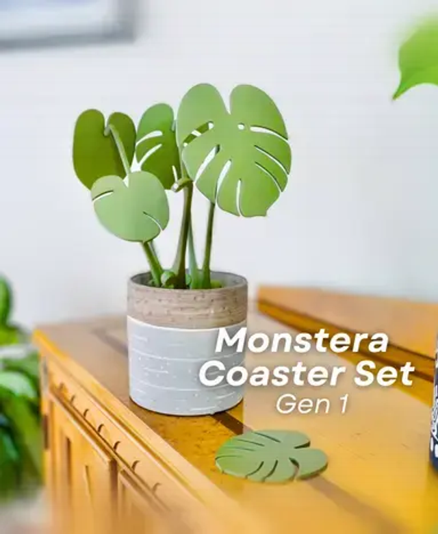 Monstera Coaster 1