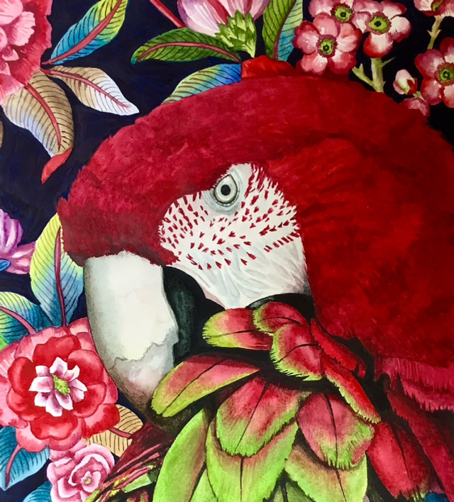 Macaw - Lisa Lennon