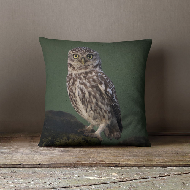 “Little Owl” Cushion 