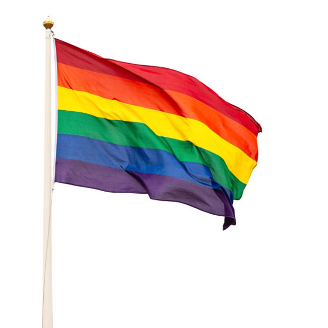 Large Pride Flag