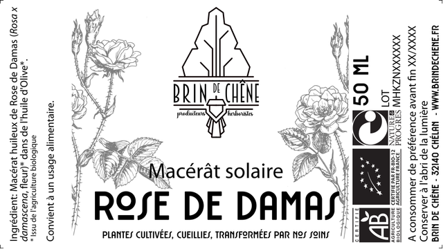 Macérat huileux de Rose de Damas