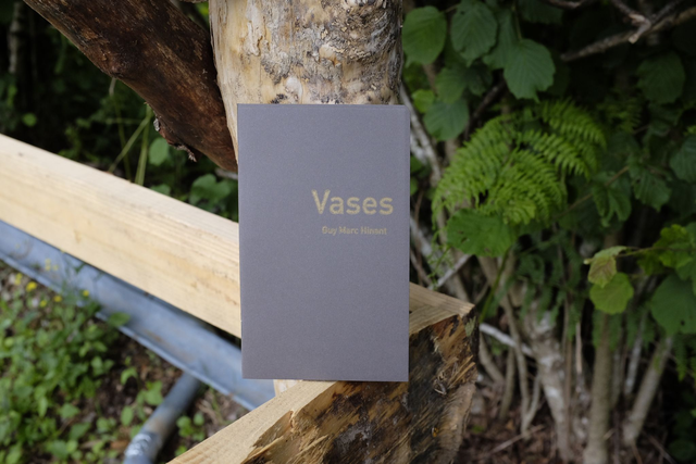 Guy Marc Hinant, Vases