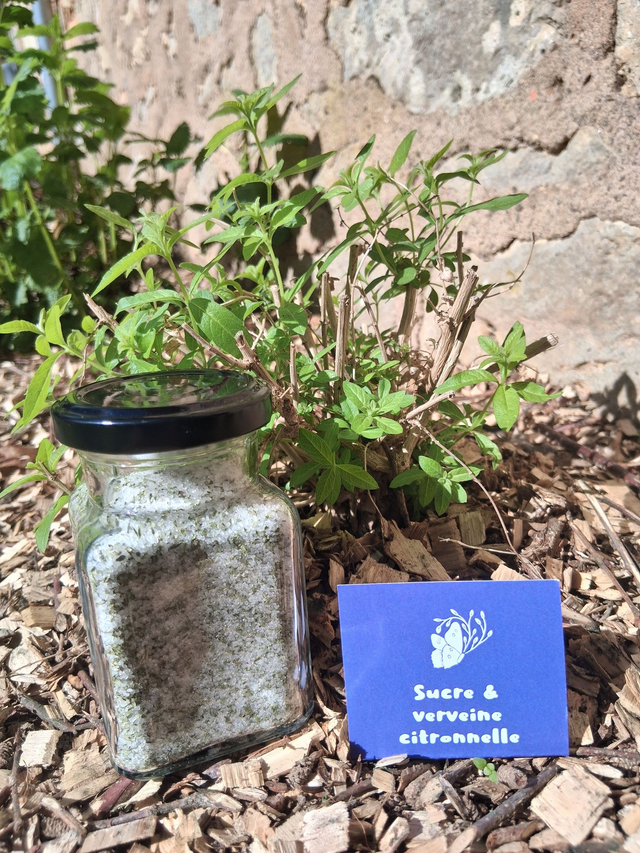 Sucre à la verveine citronnelle 